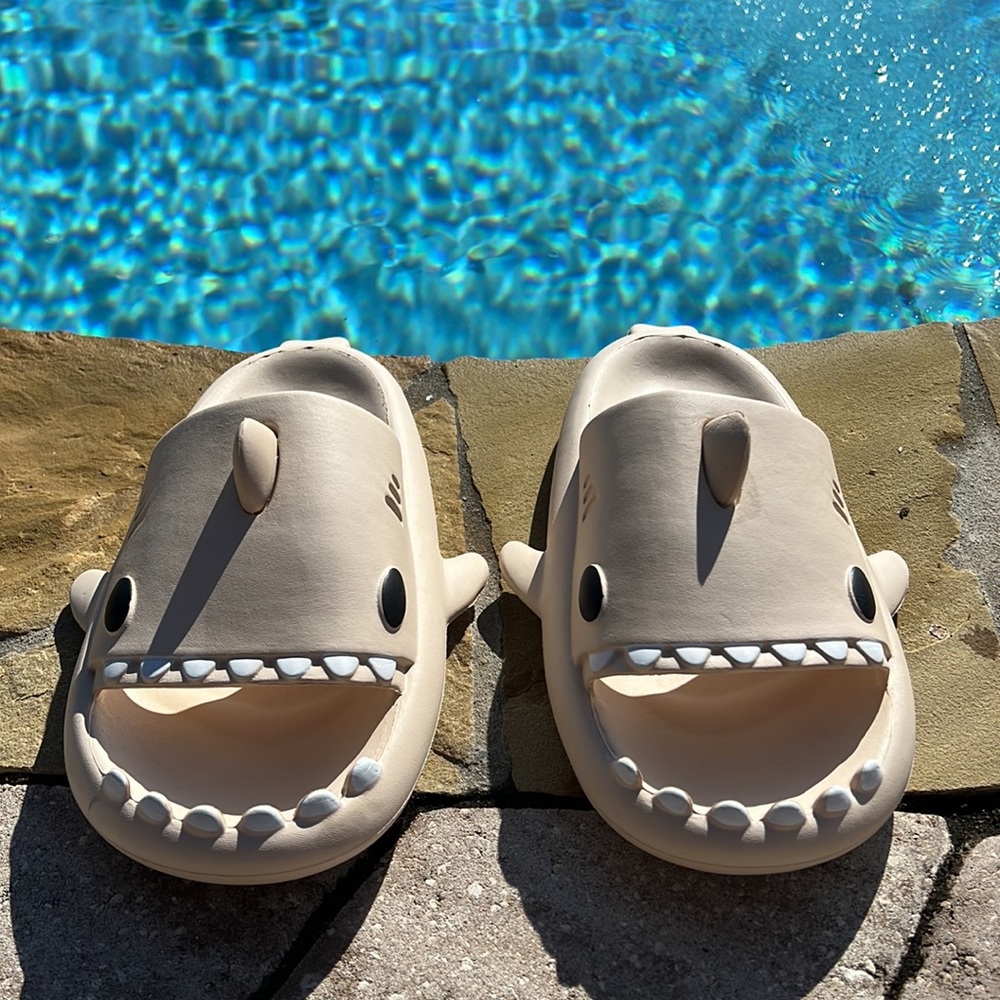 Shark Slides - Picture 3 of 3